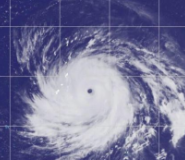 全力迎战台风“巴威” 省住房城乡建设厅部署本轮台风强降雨和大风防范应对工作
