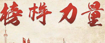 湖南省水利厅召开“两优一先”表彰大会