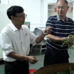 他把论文写在了金石桥的田野上——记邵阳市优秀共产党员、隆回县金石桥镇中心学校退休科技教师陈富昌