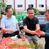 盛夏送清凉 情暖黄花农！祁东总工会把“清凉”送到黄花菜采摘一线