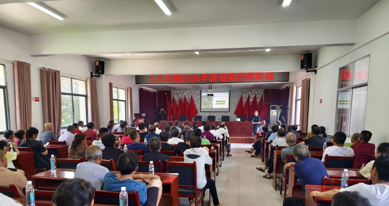 政企联动赋能产业升级 岩垅乡柑橘品改跑出乡村振兴加速度