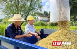 湖南省粮食和物资储备局印发《粮食收购者兑付农民售粮款管理实施细则》