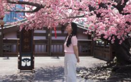 芙蓉365｜闭目听花