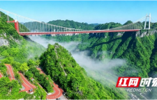 一山两路间的初心答卷