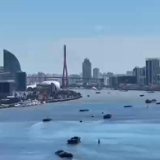 好评中国丨这场“上海之约”,何以令人期待?