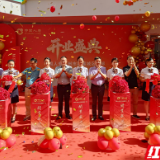中国人寿永州市收展城区一部新职场正式开业启用
