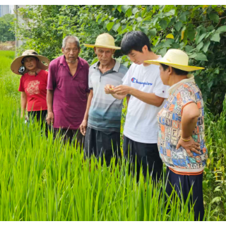 蒸湘区:科技赋能助生产田间授课促丰收