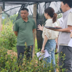 高校暑期“三下乡”社会实践走进攸县