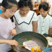 静待花开育家风 家校社同心护成长