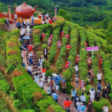 邂逅23℃清凉山城！2026湖南乡村文旅节暨桂东避暑康养季启幕