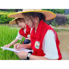怀化工商职院学子赴安江开展直播助农暑期实践