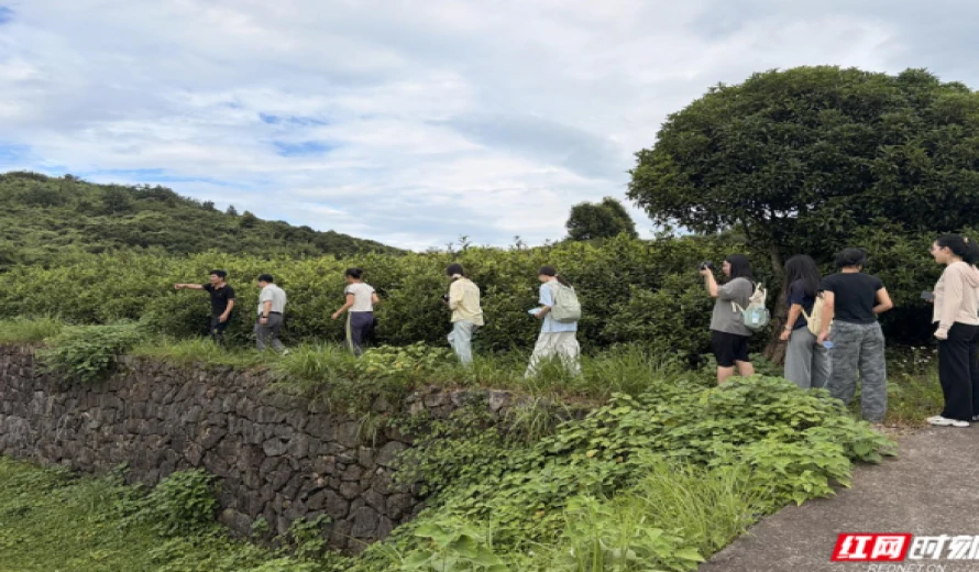 探寻茶旅融合密码 湖南师大旅游学院暑期社会实践团走进安化