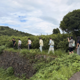 探寻茶旅融合密码 湖南师大旅游学院暑期社会实践团走进安化