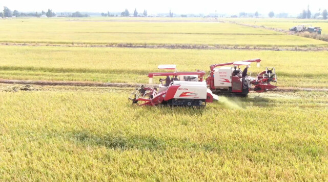 新农人、新装备，湖南“双抢”玩出新花样