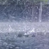 湖南省气象局启动气象灾害(暴雨)四级应急响应