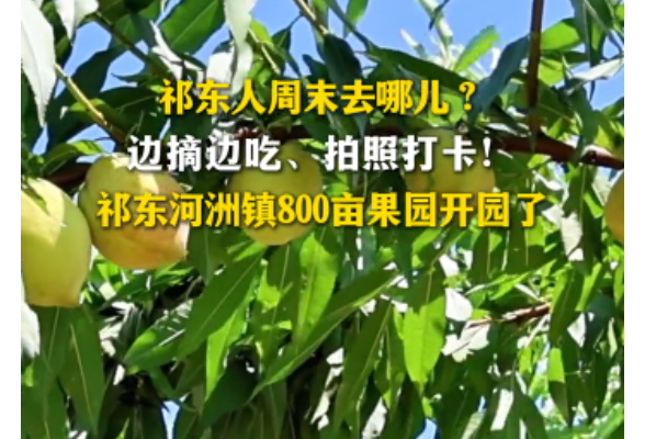 寻味祁东｜黄金奈李、鹰嘴桃正当季。山野现摘，脆甜原生态。