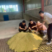 望城区领导调研全区早稻收购与粮食安全工作