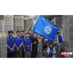 中南大学省级乡村振兴团队:深耕橙香沃土,智绘振兴蓝图