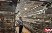 跨省上门送服务 金融“及时雨”润实体
——桃源农商银行赴贵州为企业纾困解难
