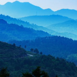 生态文学丨滕军钊:与山同息