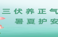 专题｜三伏养正气，暑夏护安康