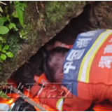视频丨清晨井下传来呼救声！宁乡消防两小时奋战闯缺氧险境 救出走失老人
