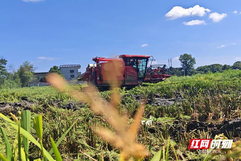 微信图片_20260717160433.jpg 微信图片_20260717160433.jpg