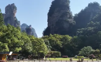 千城百县看中国｜湖南张家界：临溪避暑觅清幽