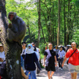 清凉避暑引客来 张家界国家森林公园暑期旅游迎旺季