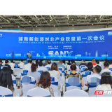 共拓非洲市场,湖南组建新能源产业联盟