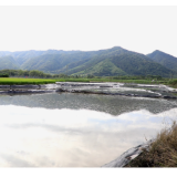江永:马蹄种植正当时 特色产业助瑶胞增收