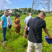 科技赋能精准理赔 中国太保产险衡阳中支提质增效护航粮食安全