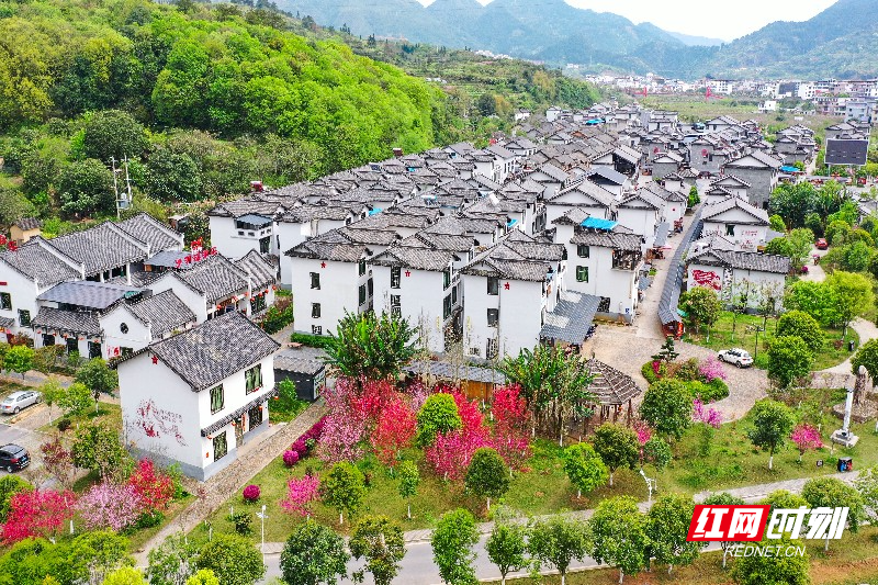 沙洲建筑全貌.jpg