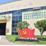 绿色龙头企业的“红色引擎”——访双牌县湖南阳明竹咏科技有限公司党支部