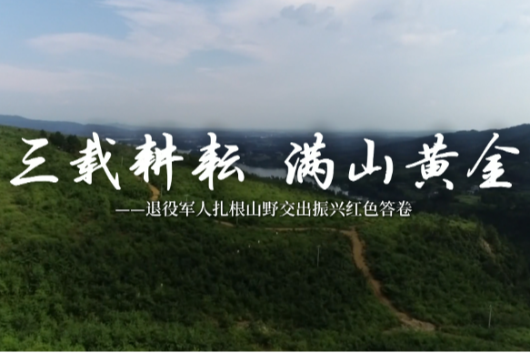荒山上的“红色”答卷：退役军人李胜给大学生上的创业课