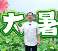 视频 | 二十四节气之大暑・炎蒸极处