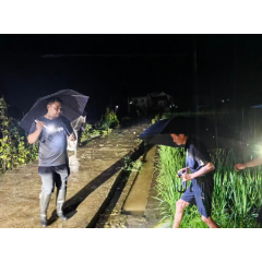 新化县圳上镇发布两起转移避险典型案例