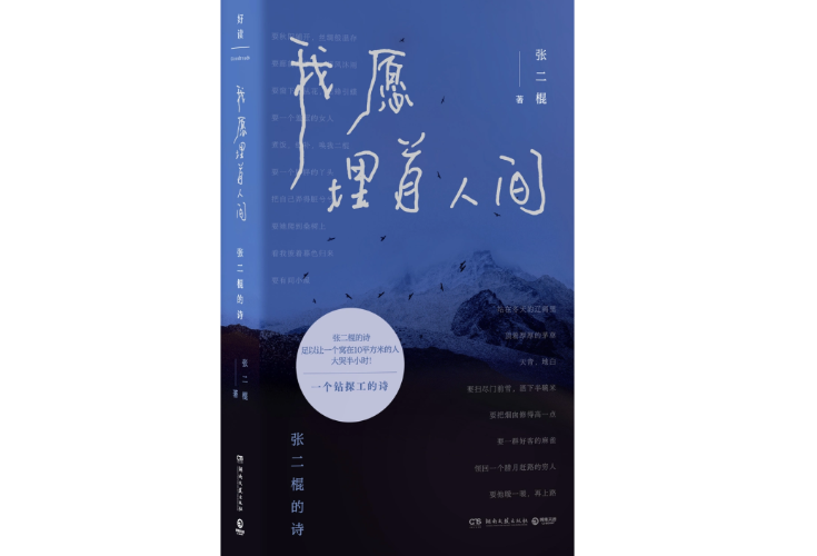 专访鲁迅文学奖得主张二棍：用诗歌记录看见的世界