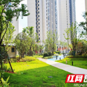 450余套新房迎主人!坪塘北片保障房(三期)分房交房进行时