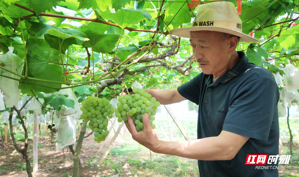 学1.jpg 学1.jpg