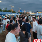 123个“摊位”点亮湘江西岸 百日千万专场“职”达永州