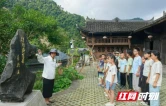 从古茶树到黄金杯：一堂行走的非遗文化课