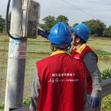 国网安仁县供电公司:三夏服务到田间 灌溉用电保安全