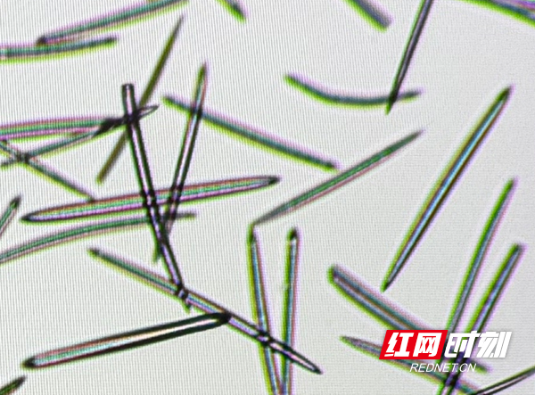 晴天生物.png 晴天生物.png