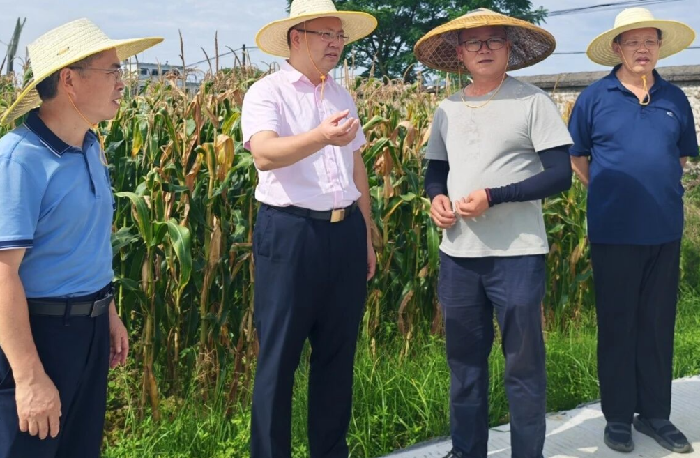 把论文写在大地上  把“芯”育在沃土里