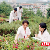 湖南中医药高等专科学校研学基地获评株洲市中小学研学实践教育基地