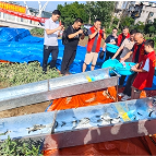 90万尾鱼苗入资江!邵阳2026年市本级天然水域增殖放流活动启动