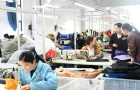 营养配餐技能点亮就业路
