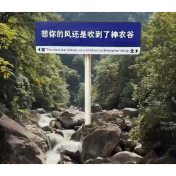 视频丨周末不忙 去一趟神农谷