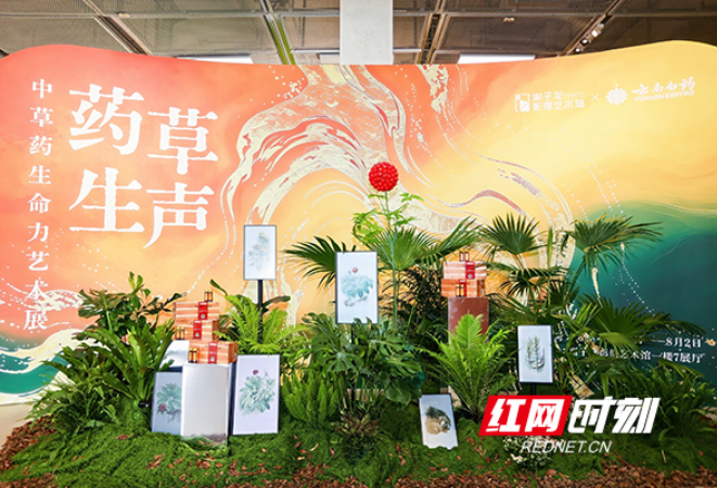 免费看！“中国植物画第一人”曾孝濂作品来长沙了